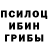 Псилоцибиновые грибы ЛСД Maria Babayev