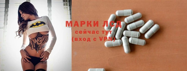 сатива Покачи