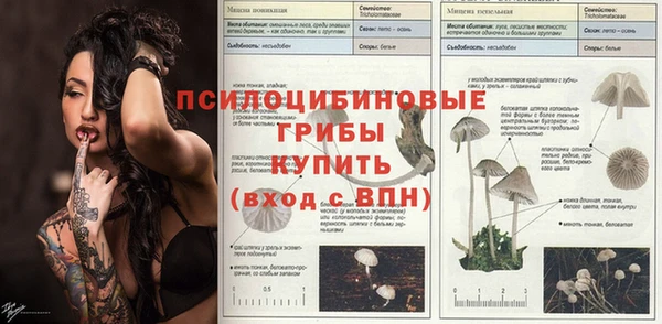 mix Армянск
