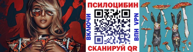 Галлюциногенные грибы Psilocybe  наркота  Ишим 